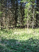 roubenka